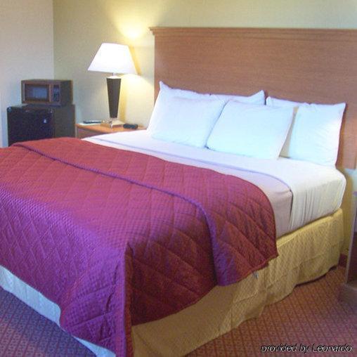 Executive Inn & Suites - Jewett 객실 사진